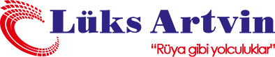 12 Logo